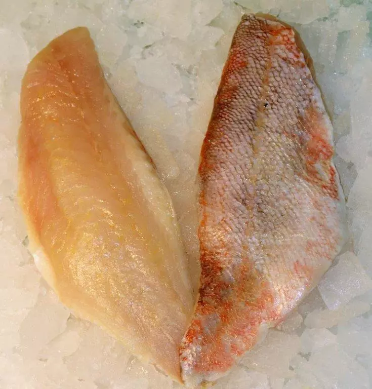 zwei Rotbarschfilets auf Eis, eines mit Haut, eines ohne
