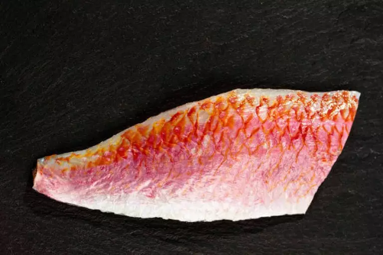 rohes Rotbarbenfilet mit Haut auf schwarzer Platte