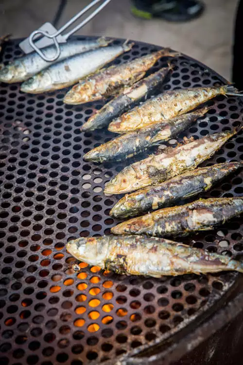 Sardinen werden auf offenem Grillrost gegrillt