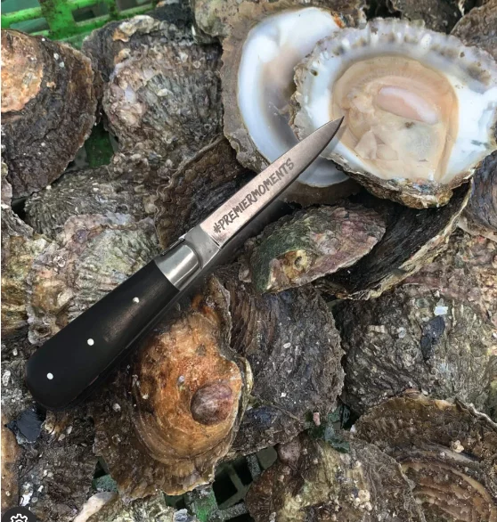 Austernmesser liegt auf frischen Austern, eine geöffnet