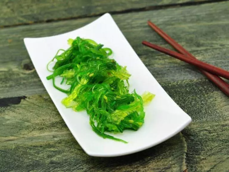 grüner Wakame Algensalat auf weißem Teller serviert