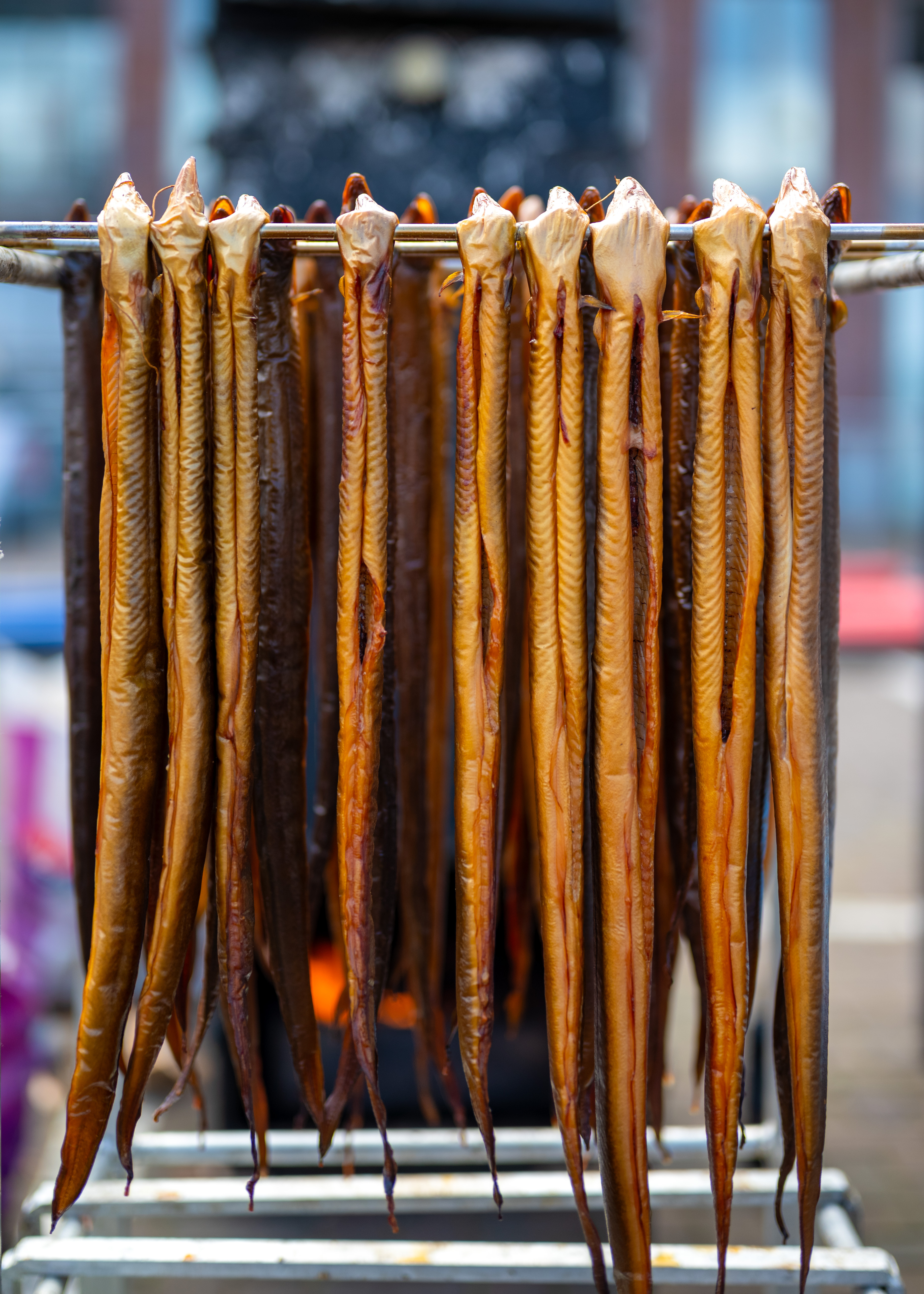 Räucheraal, ganzer geräucherter Aal, vakuumverpackt, tiefgekühlt, ca. 280g pro Stück