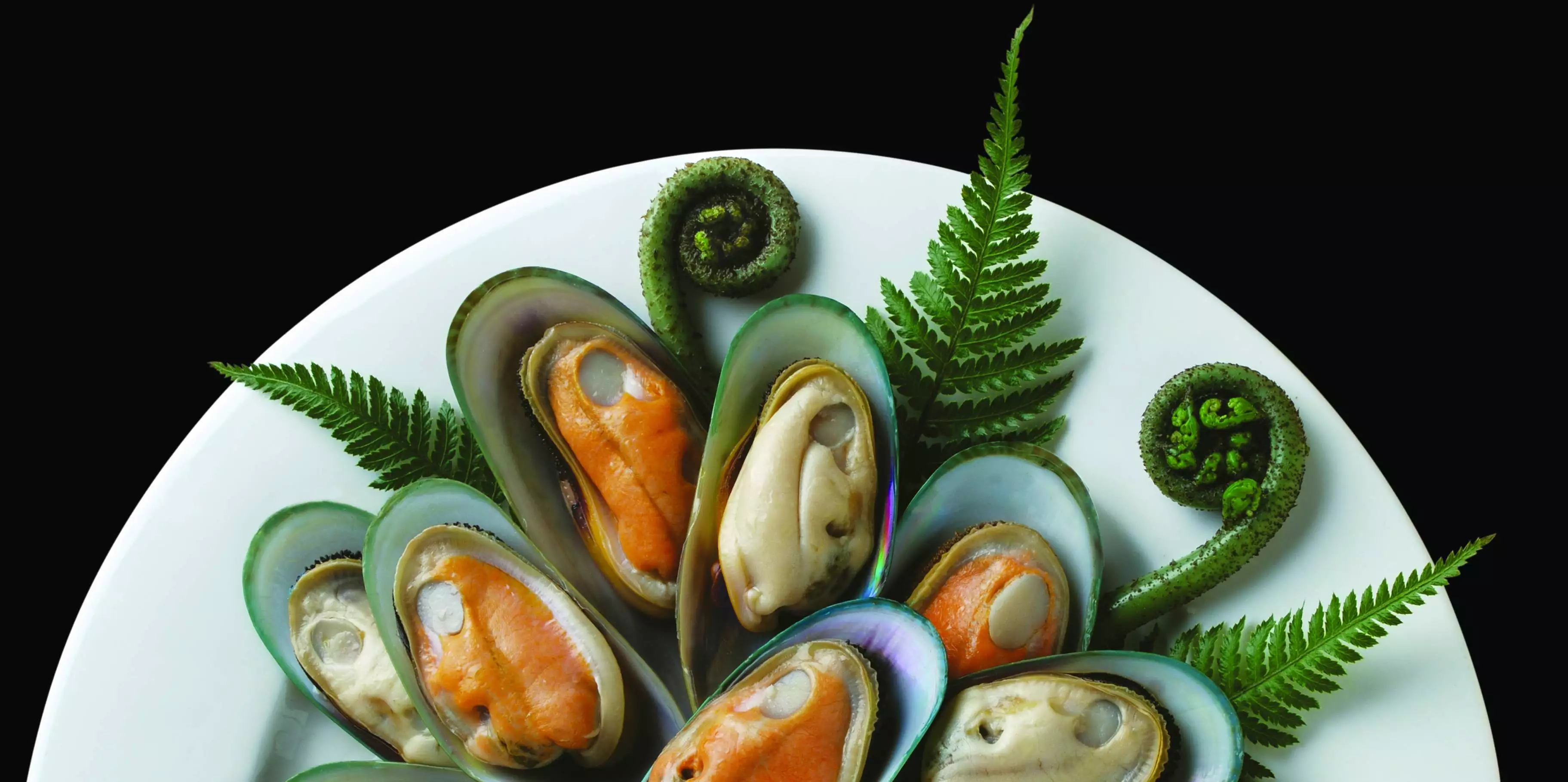 geöffnete Grünschalenmuscheln mit Farnen auf weißem Teller